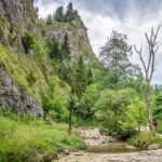 Fragment przejścia przez Wąwóz Homole i górujące nad nim strome ściany