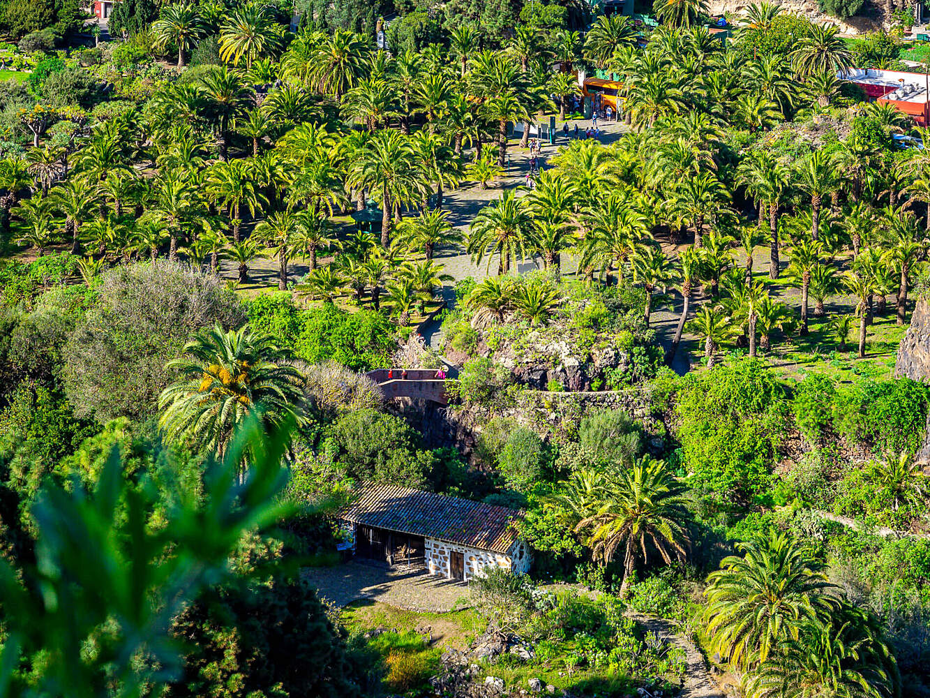 Kanarischer Botanischer Garten Viera y Clavijo Las