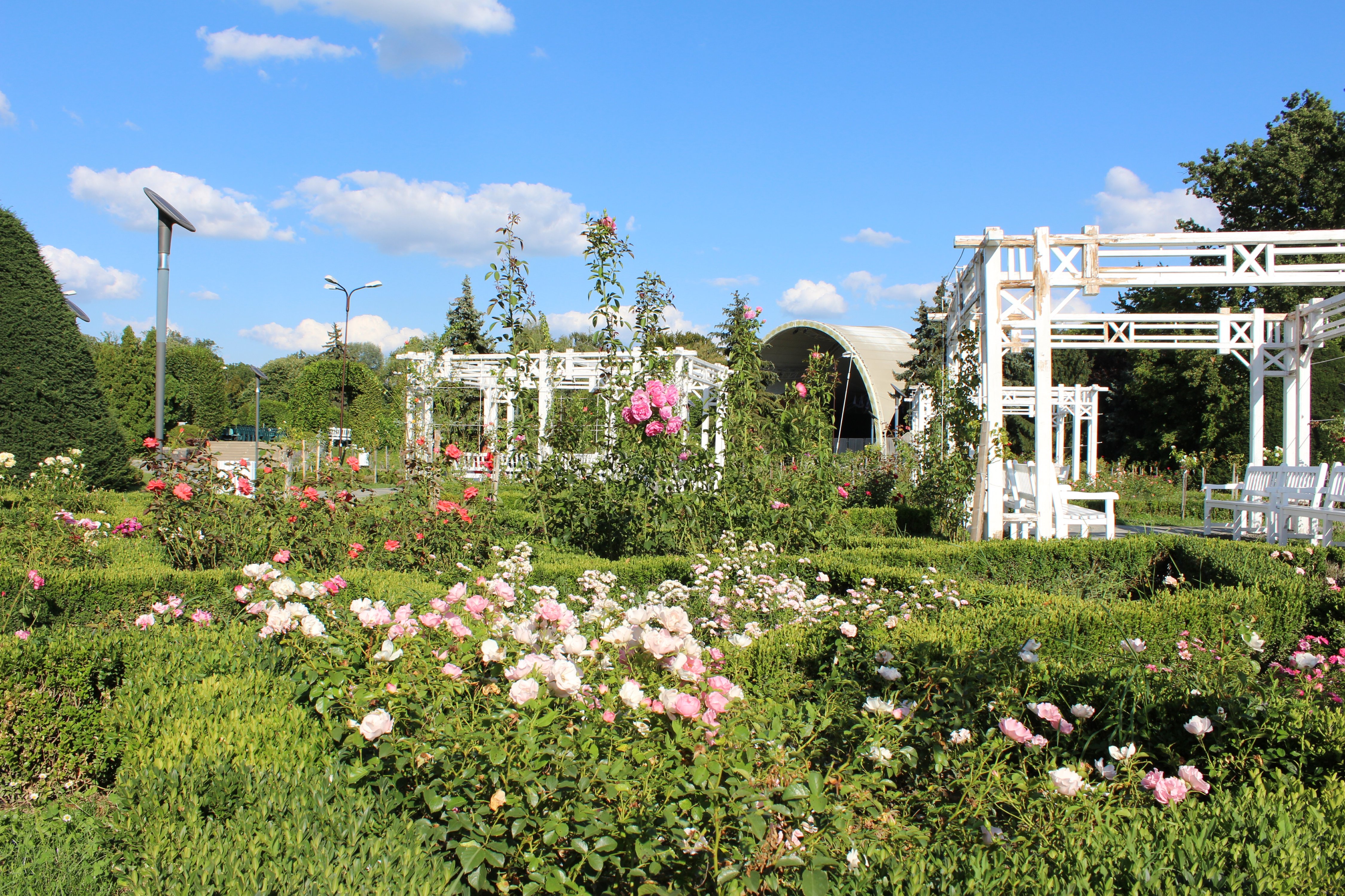 Rose Park Timișoara Tourist Attractions Tropter Com