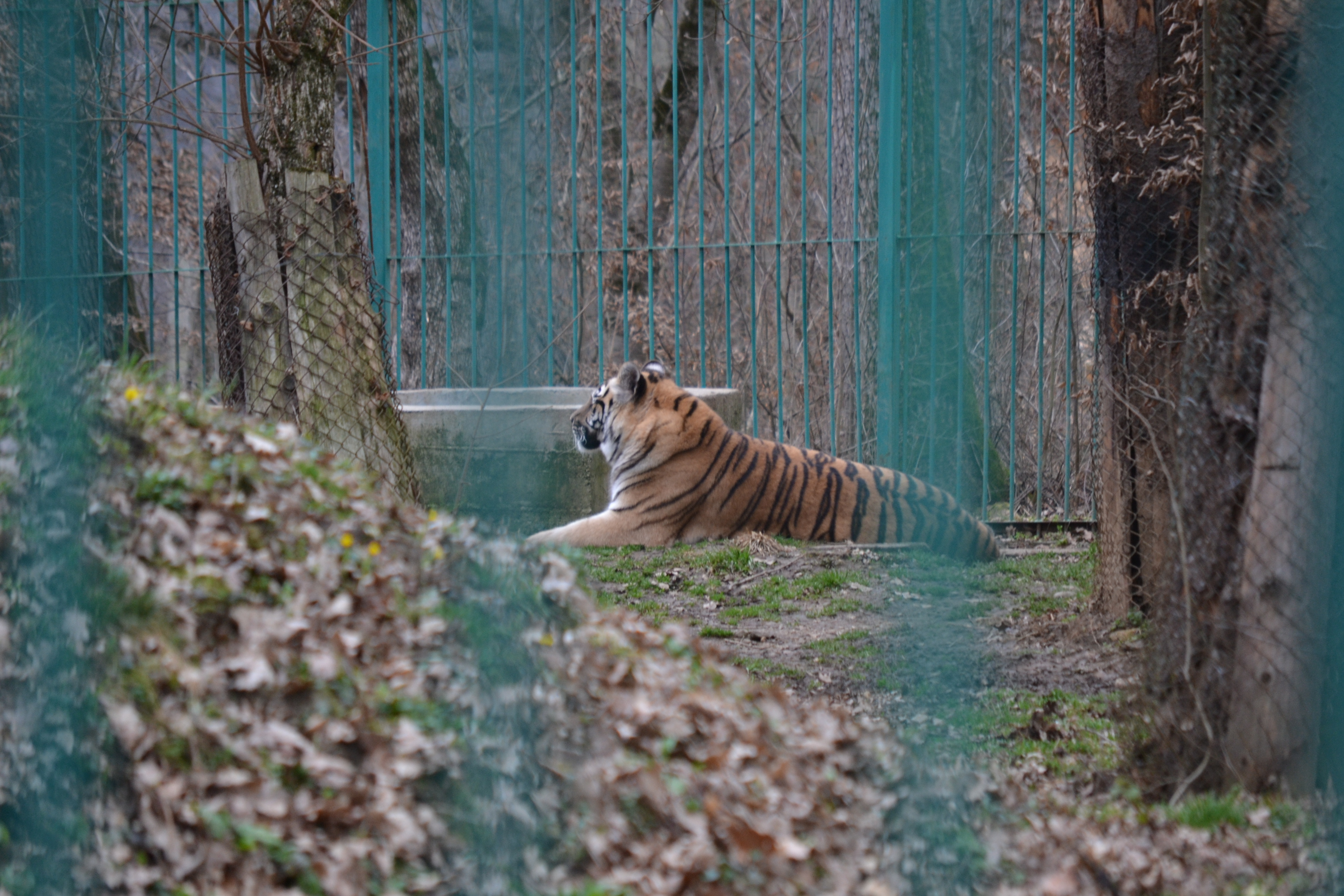Sibiu Zoo Sibiu Tourist Attractions Tropter Com