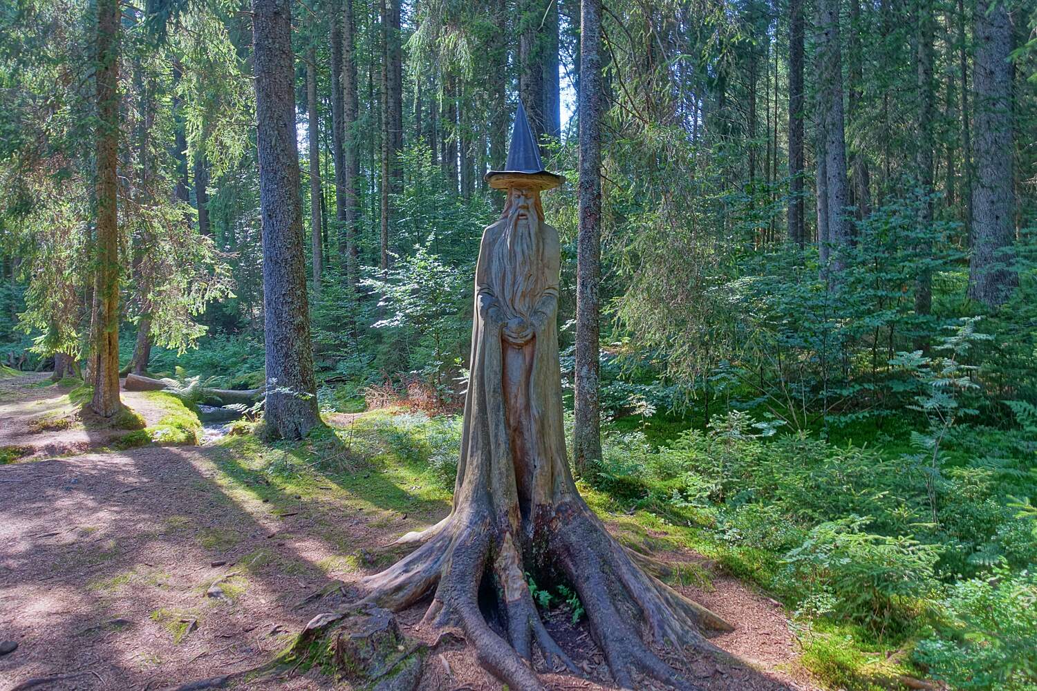 Magic Forest Bernau Im Schwarzwald Tourist Attractions Tropter Com