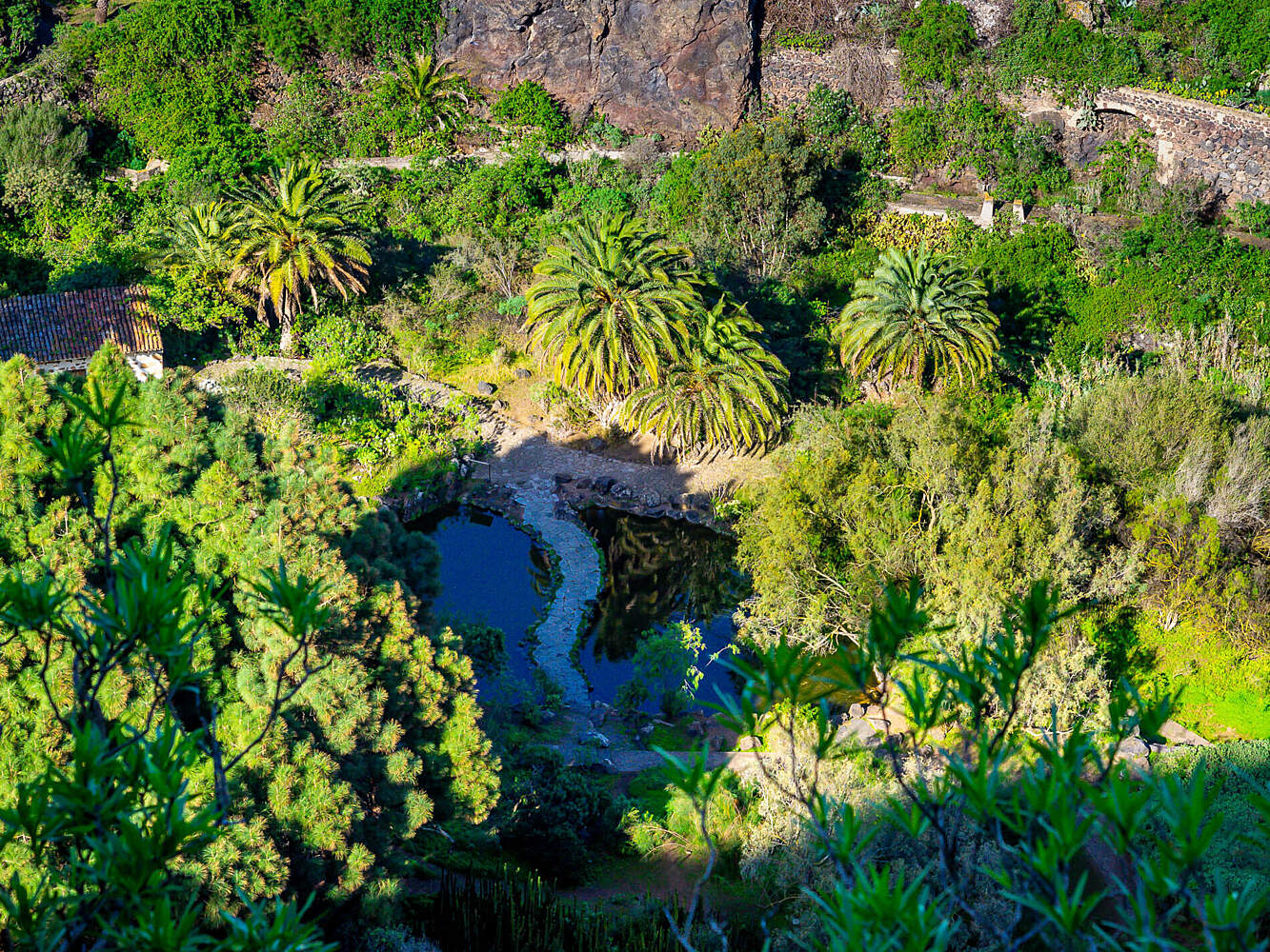 Kanarischer Botanischer Garten Viera y Clavijo Las