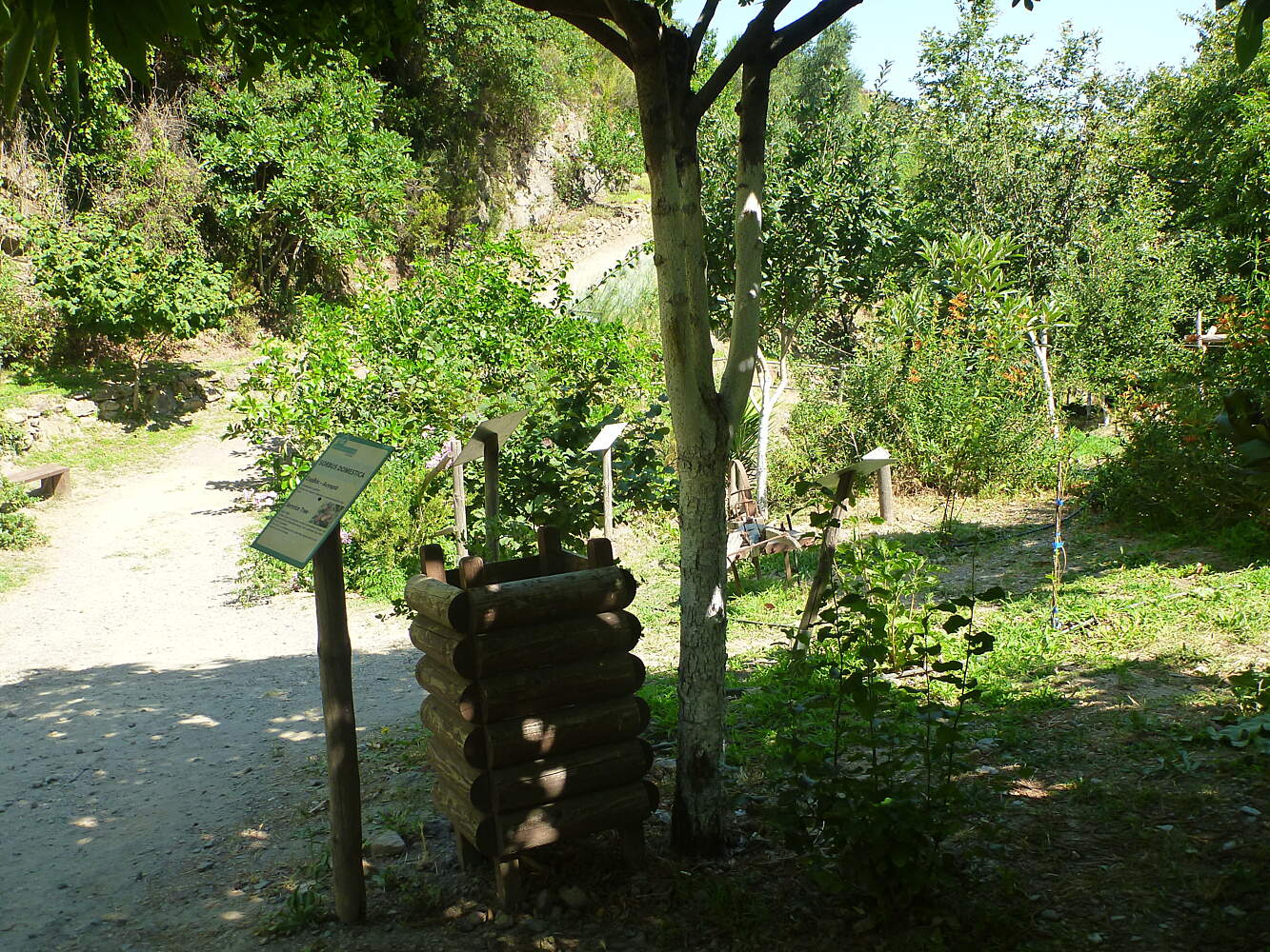 Botanischer Park Und Garten Von Kreta Skordalou Touristenattraktionen Tropter Com