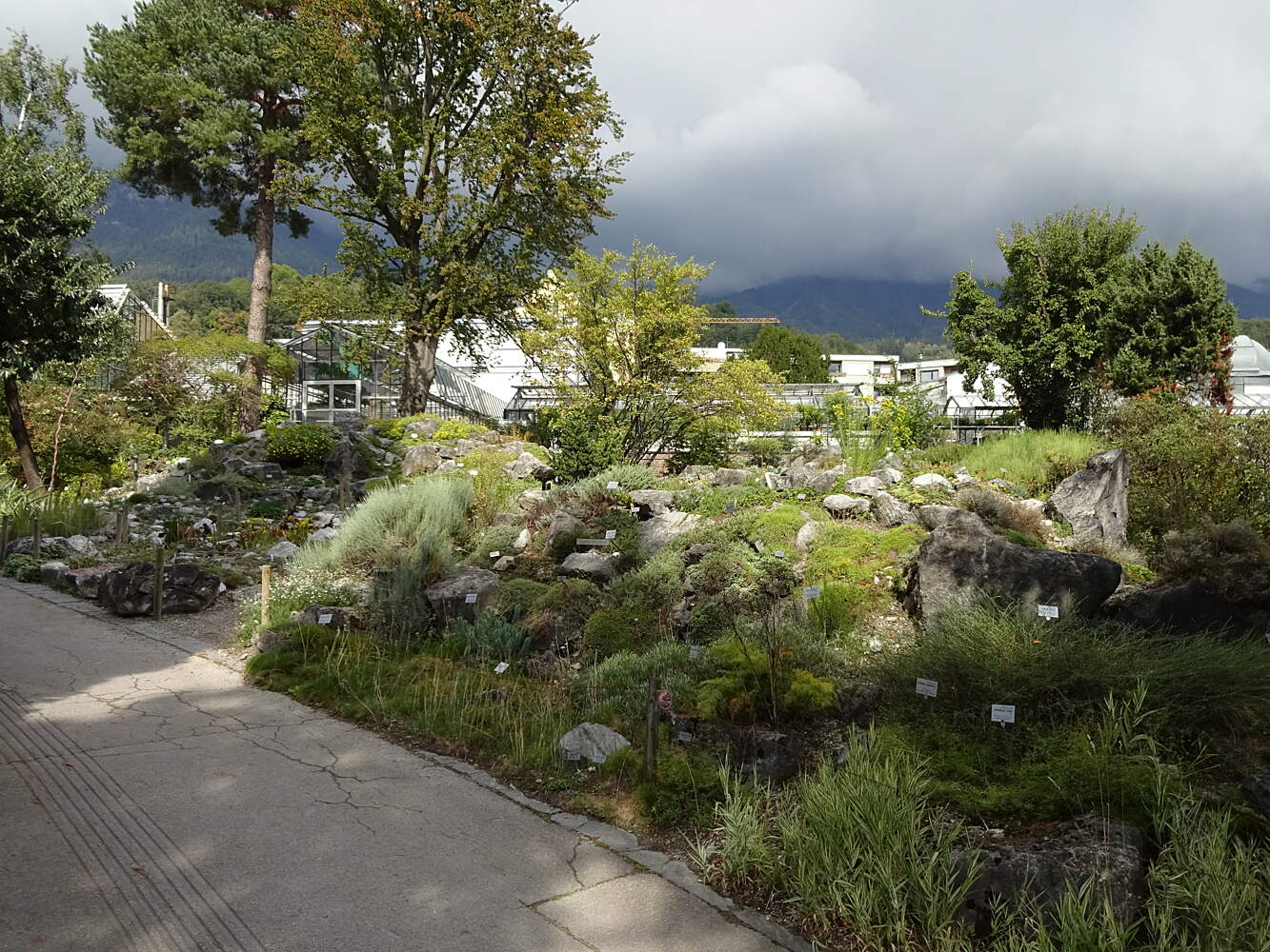 Botanischer Garten Der Universitat Innsbruck Touristenattraktionen Tropter Com