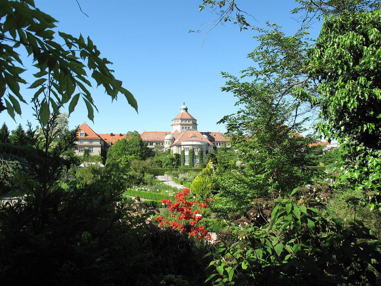 Botanical Garden Munich Nymphenburg Munich Tourist Attractions