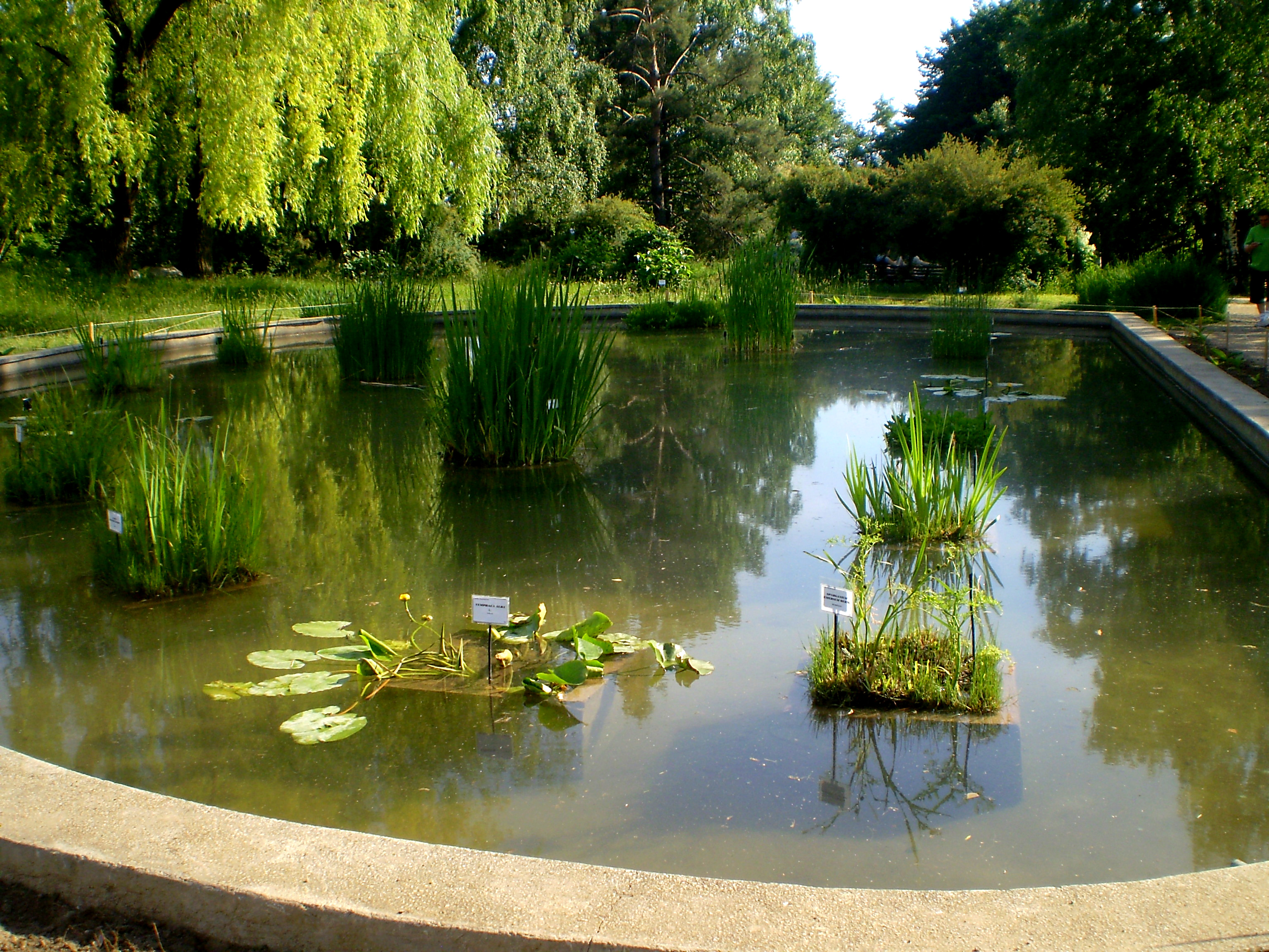 Anastasie Fatu Botanical Garden Iași Tourist Attractions