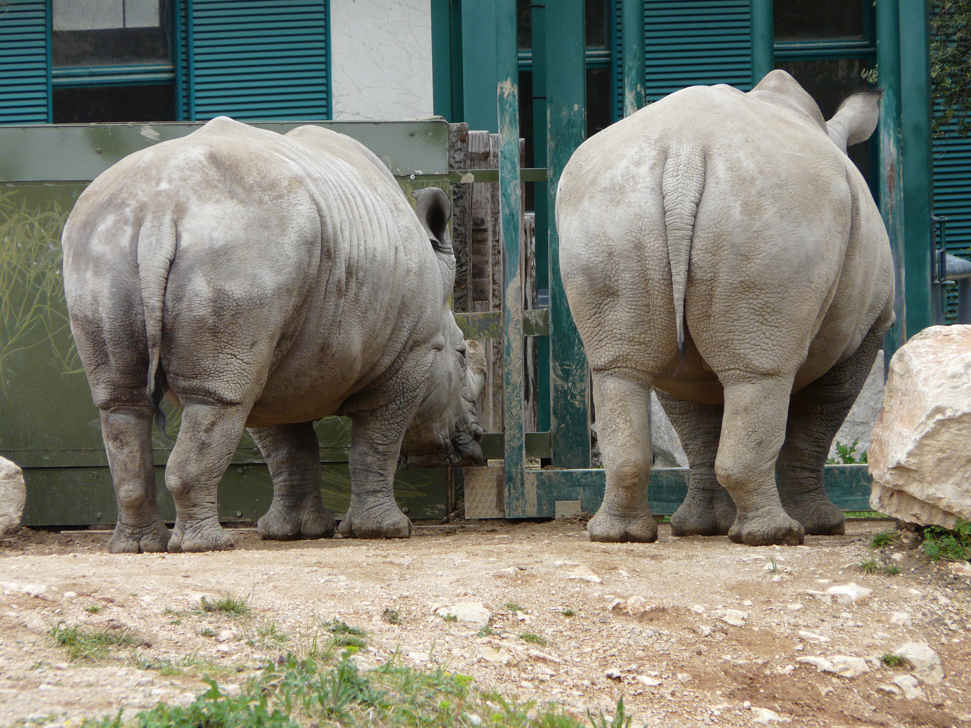 Montpellier Zoo Montpellier Tourist Attractions Tropter Com