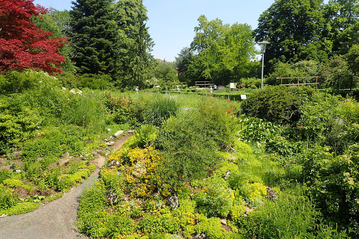 Alter Botanischer Garten Göttingen