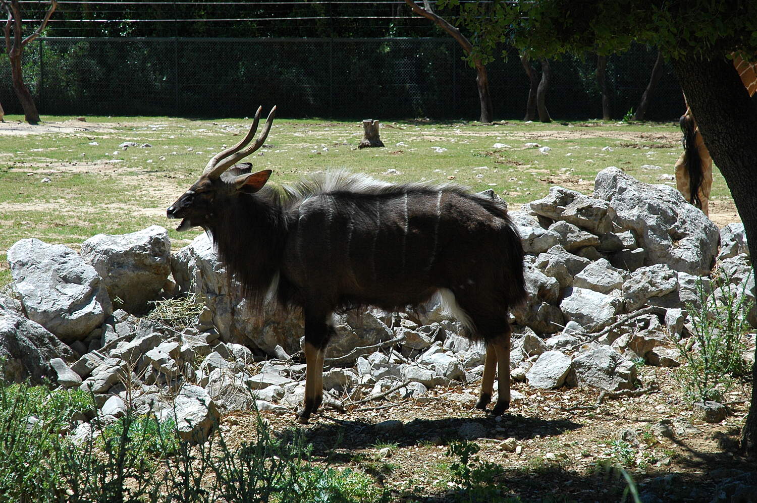 Montpellier Zoo Montpellier Tourist Attractions Tropter Com