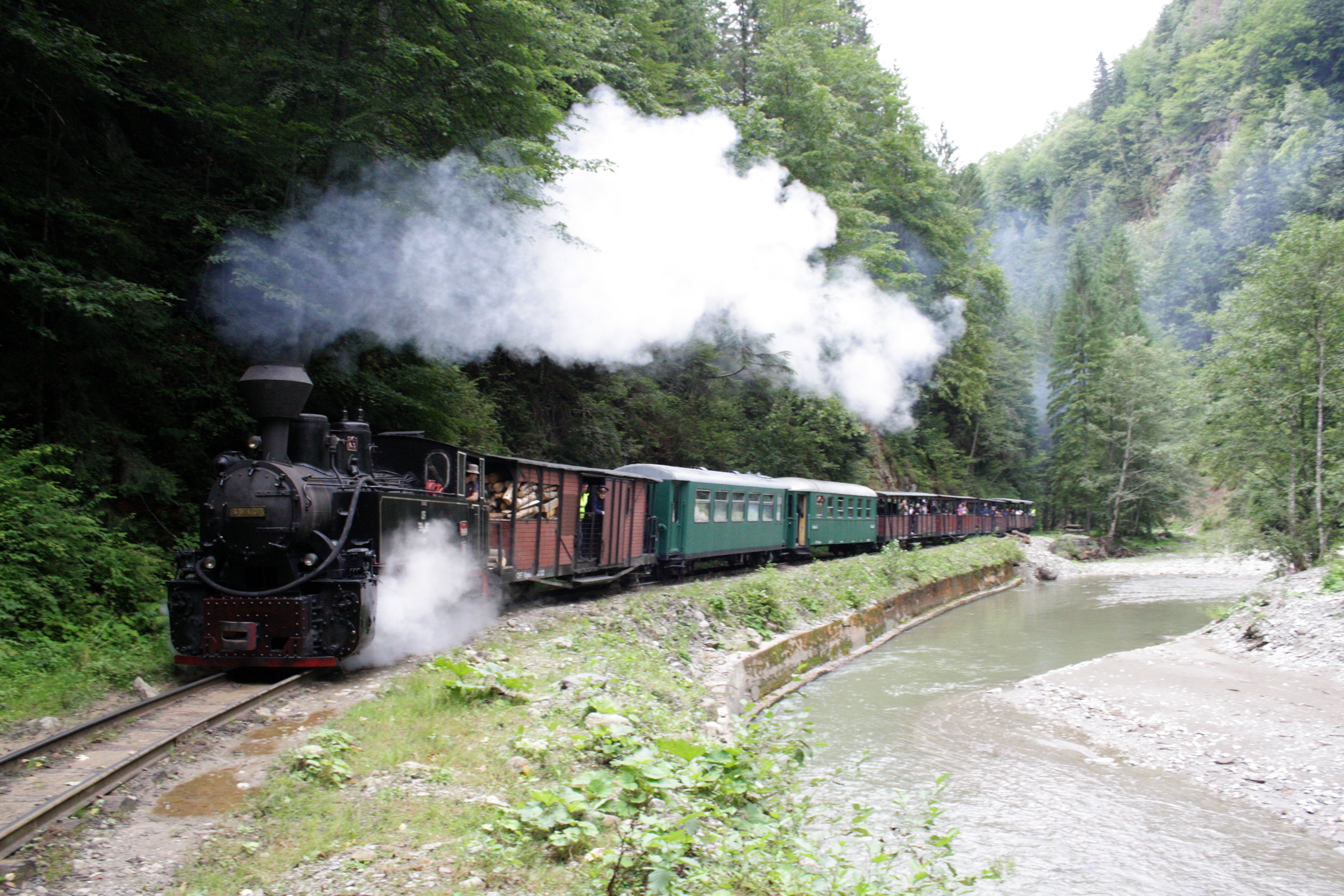 Forest Railway Vișeu De Sus Vișeu De Sus Tourist Attractions Tropter Com