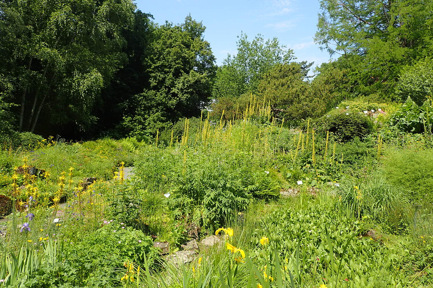 Alter Botanischer Garten Göttingen