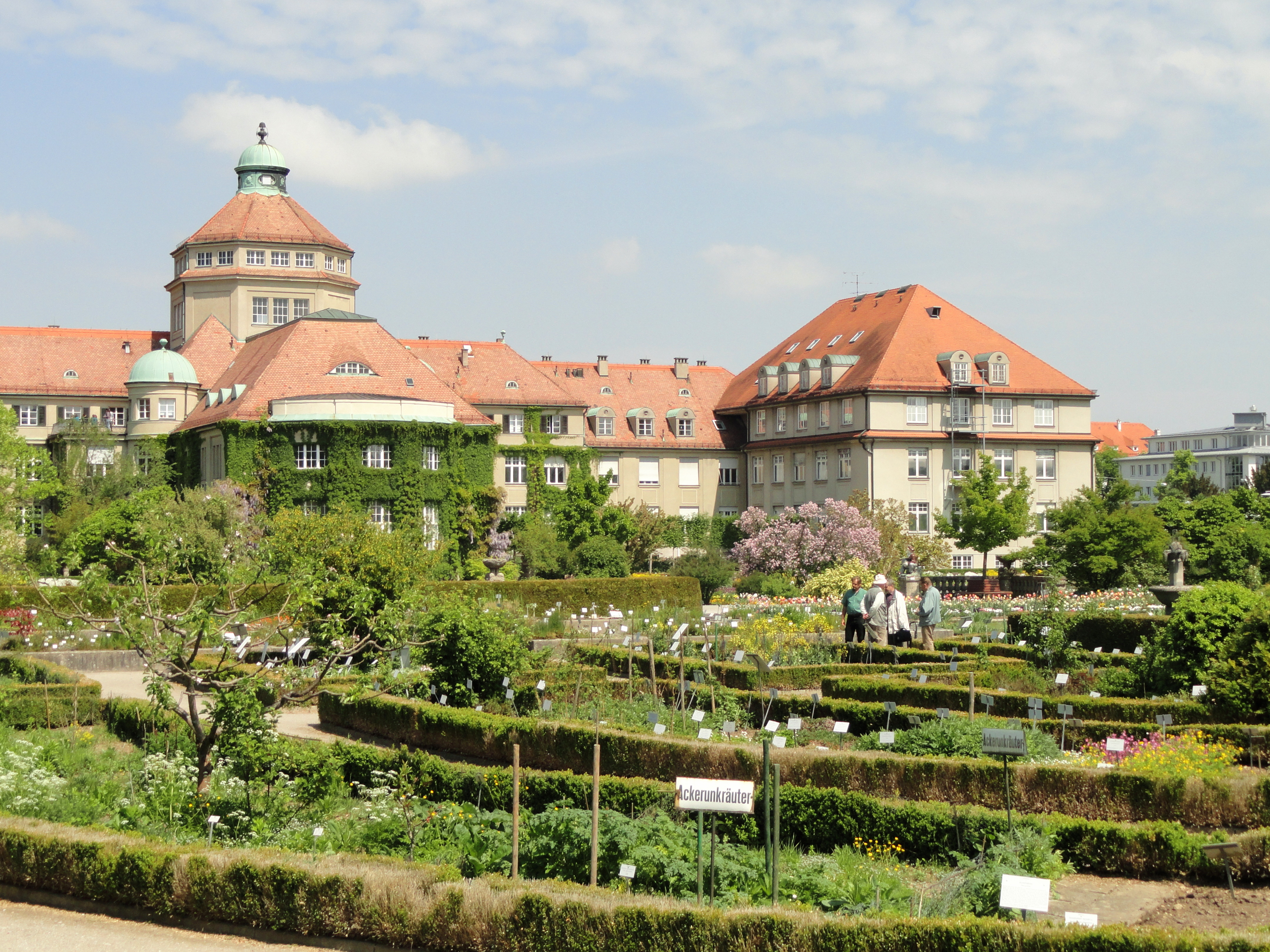 Botanical Garden Munich Nymphenburg Munich Tourist Attractions Tropter Com