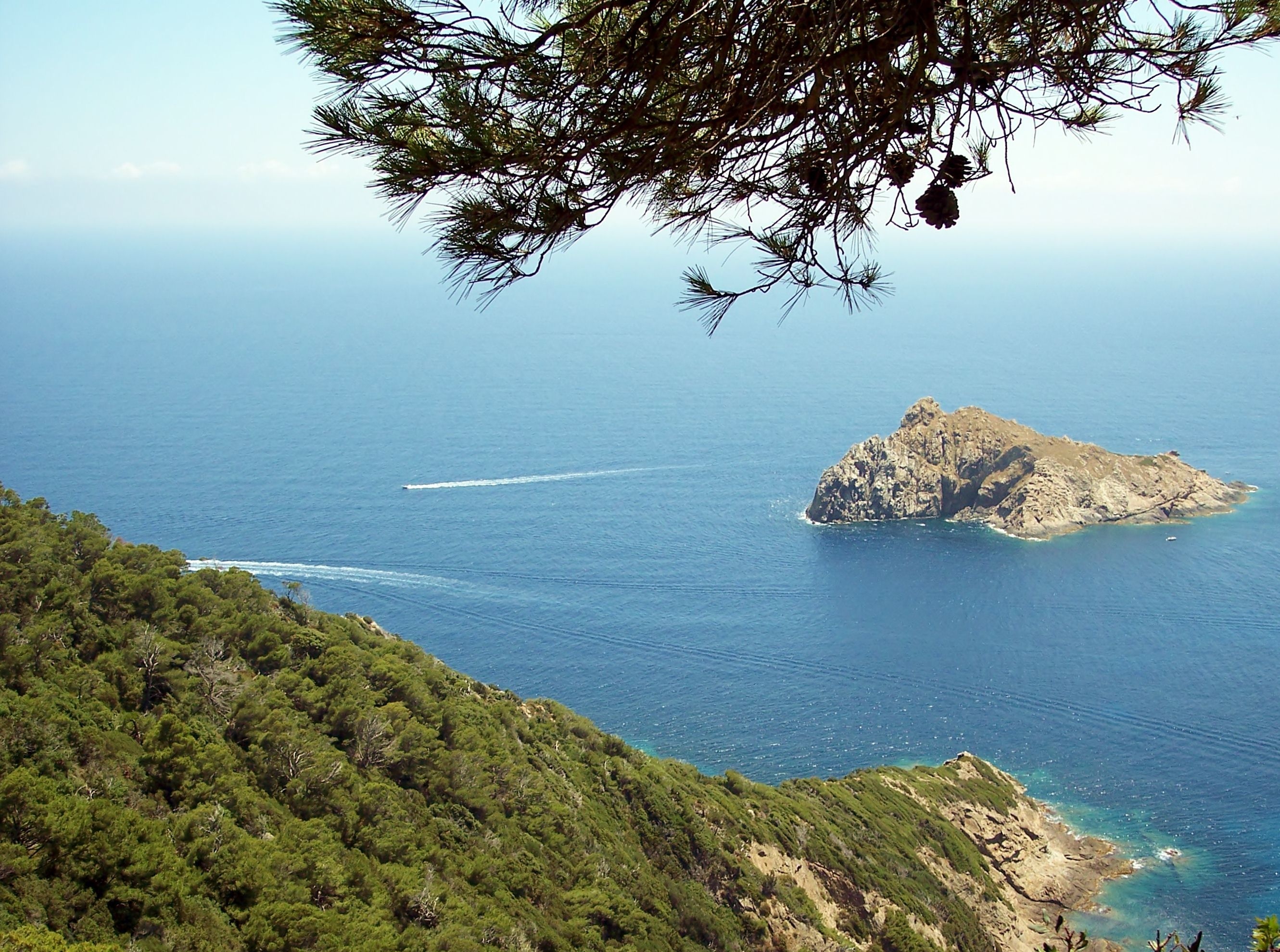 Port Cros Island Hyeres Tourist Attractions Tropter Com