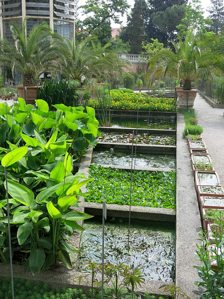 Botanischer Garten In Padua Padua Touristenattraktionen Tropter Com