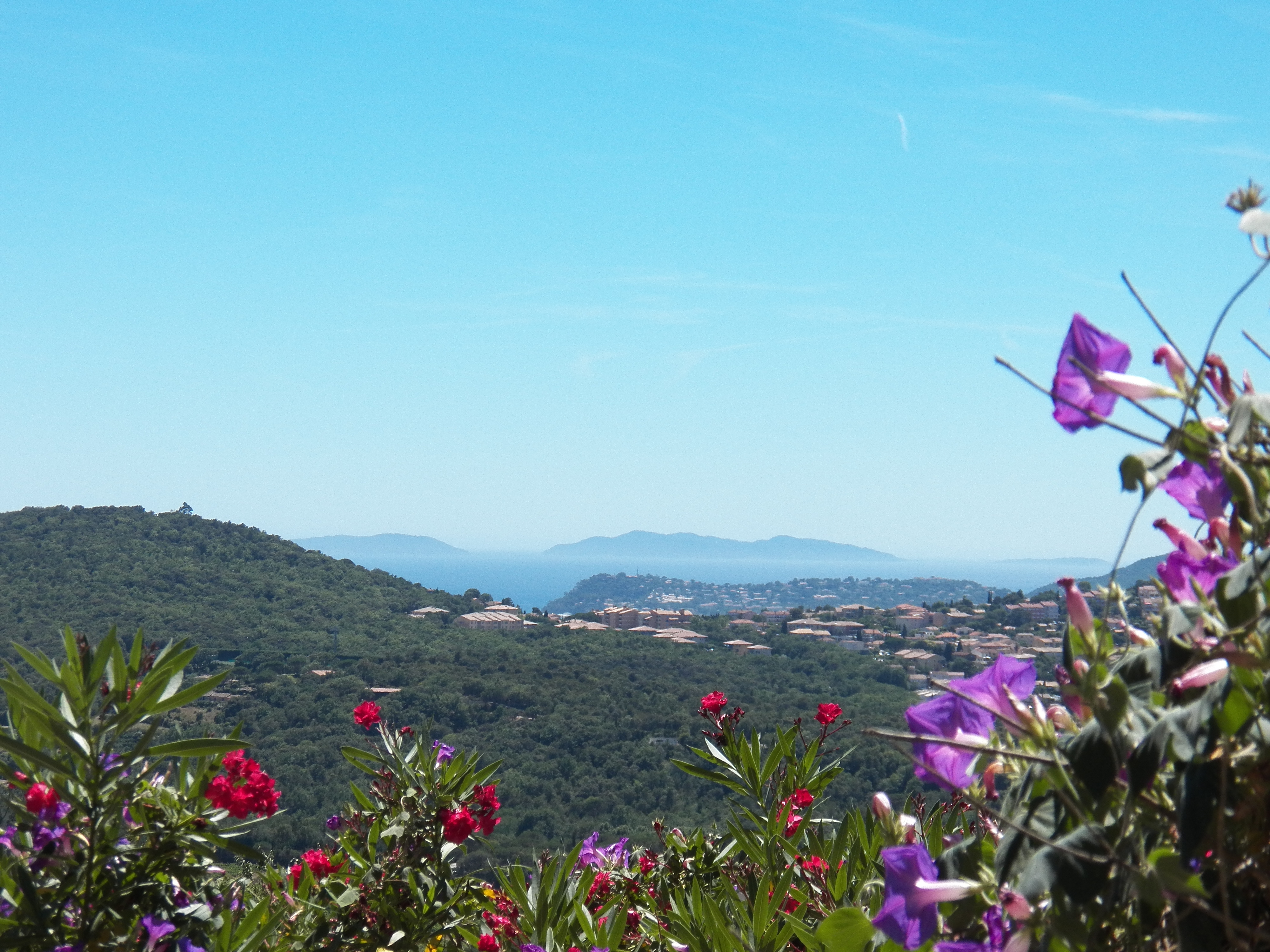 Port Cros Island Hyeres Tourist Attractions Tropter Com