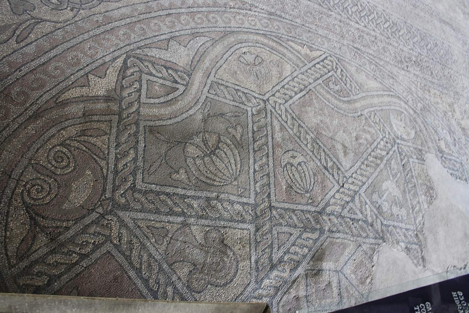 Roman Building With Mosaic Constanta Tourist Attractions Tropter Com