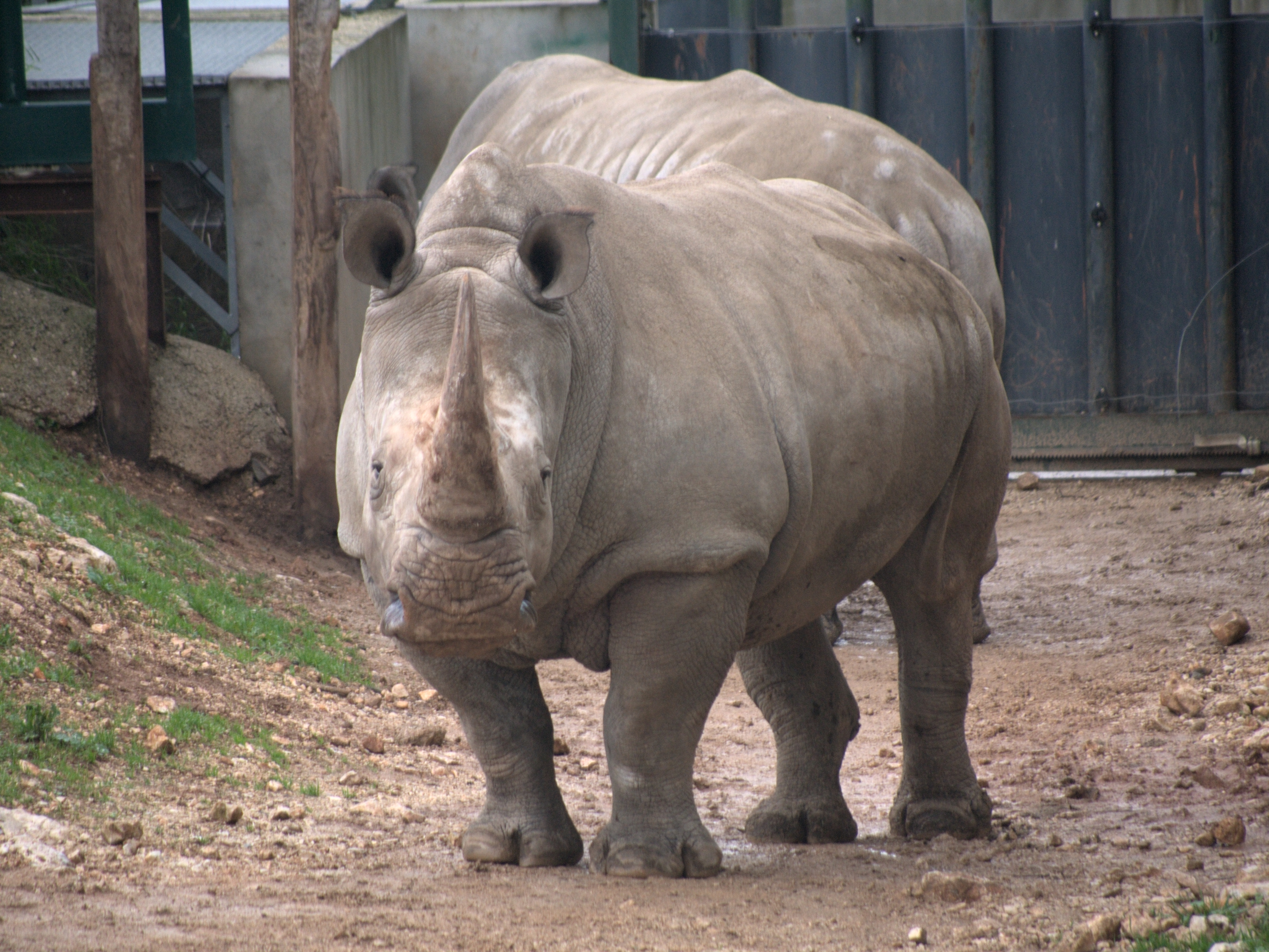 Montpellier Zoo Montpellier Tourist Attractions Tropter Com