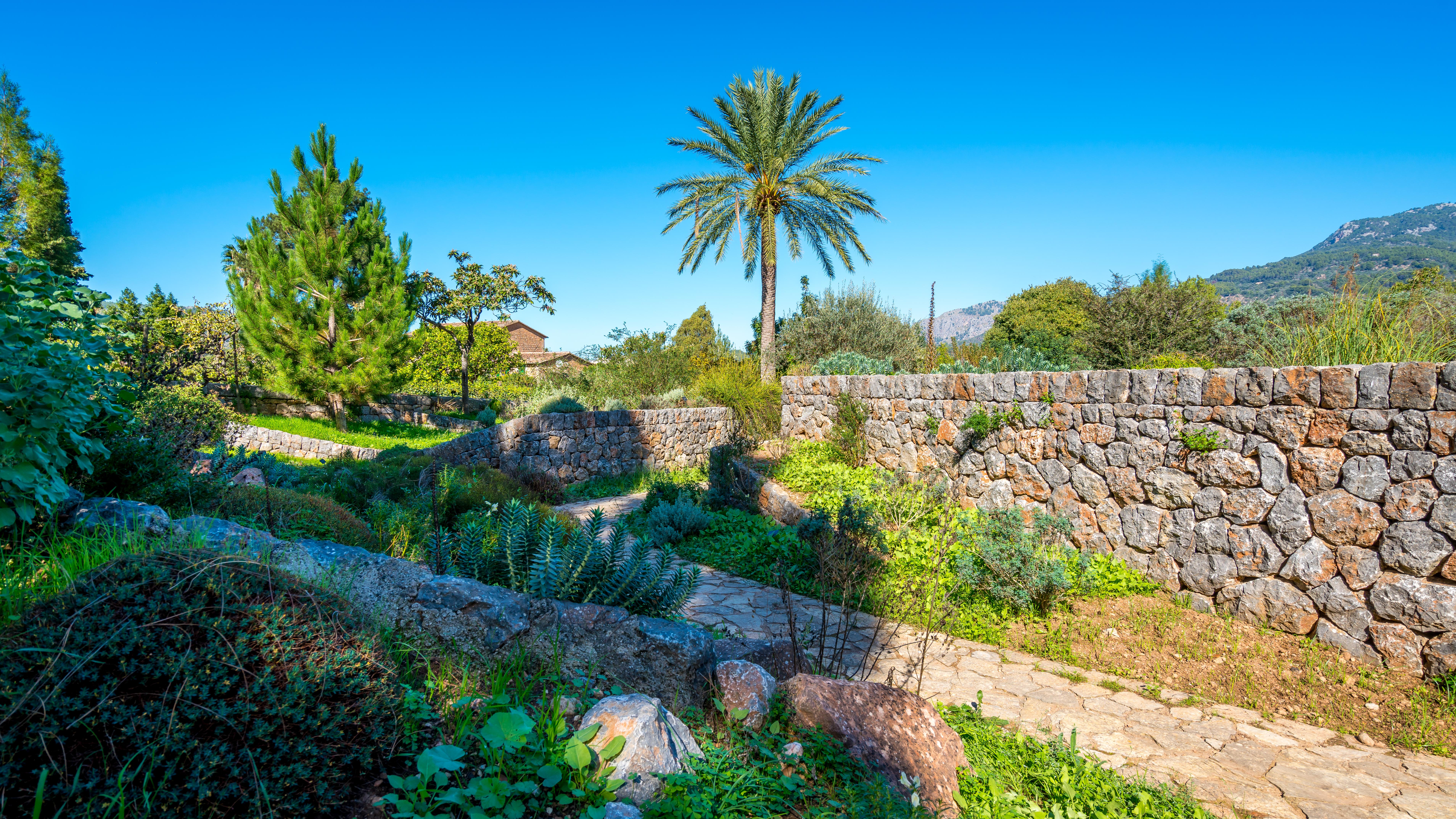 Soller Botanical Garden Soller Tourist Attractions Tropter Com