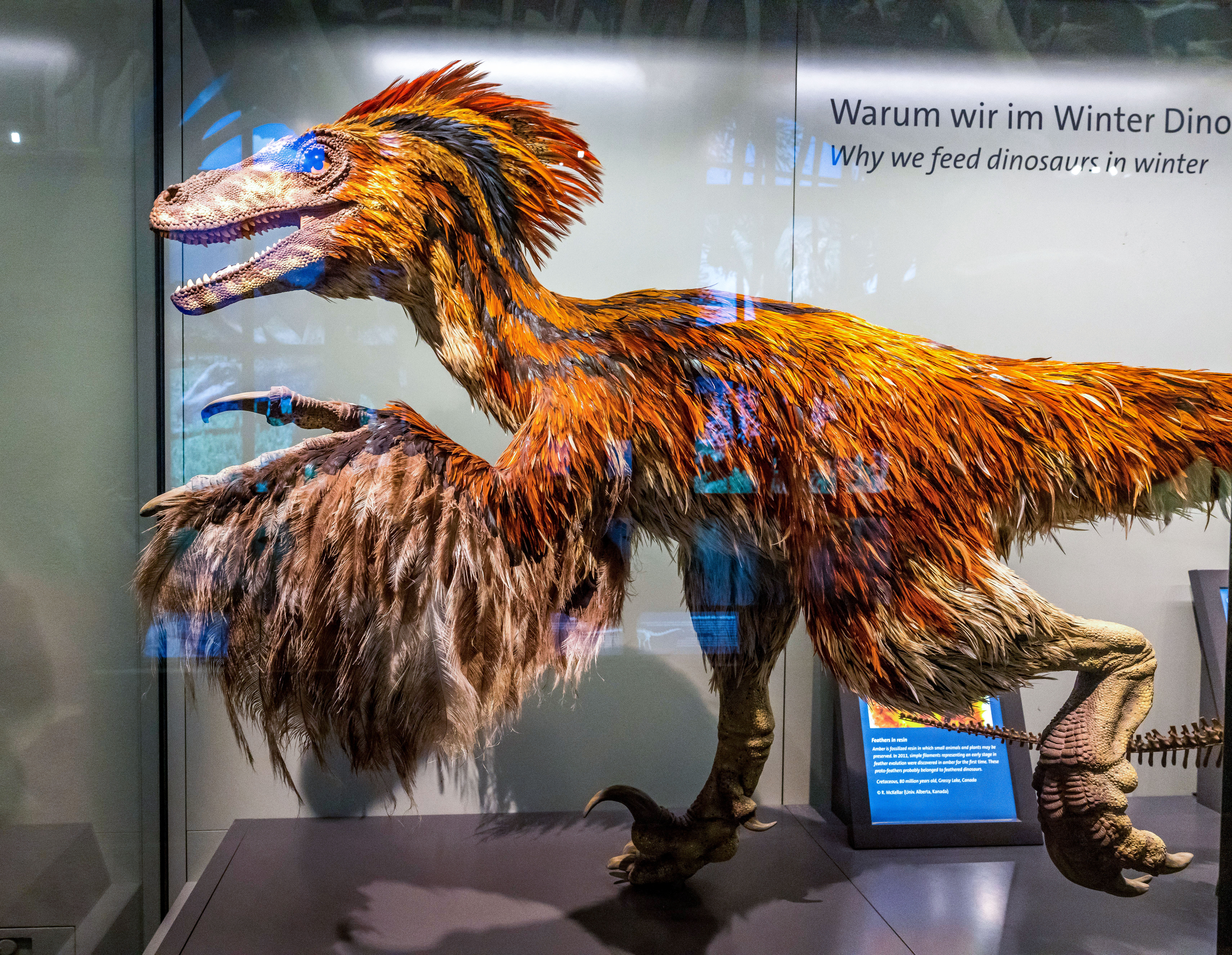 Dinosaurs Vienna Tourist Attractions Tropter Com