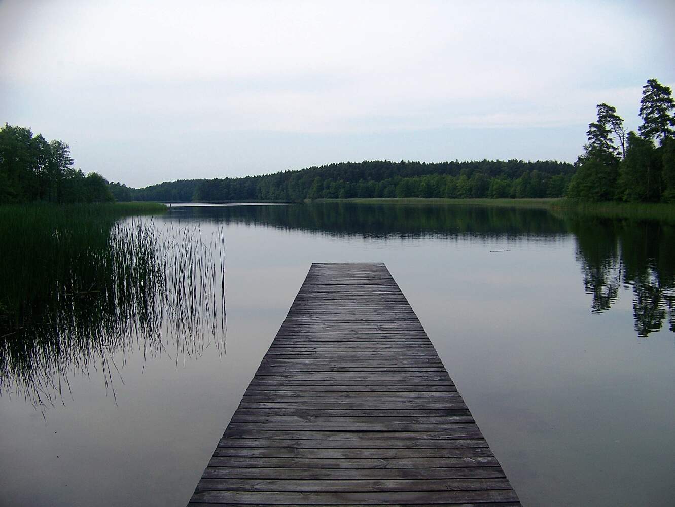 Drawa National Park Drawno Poland