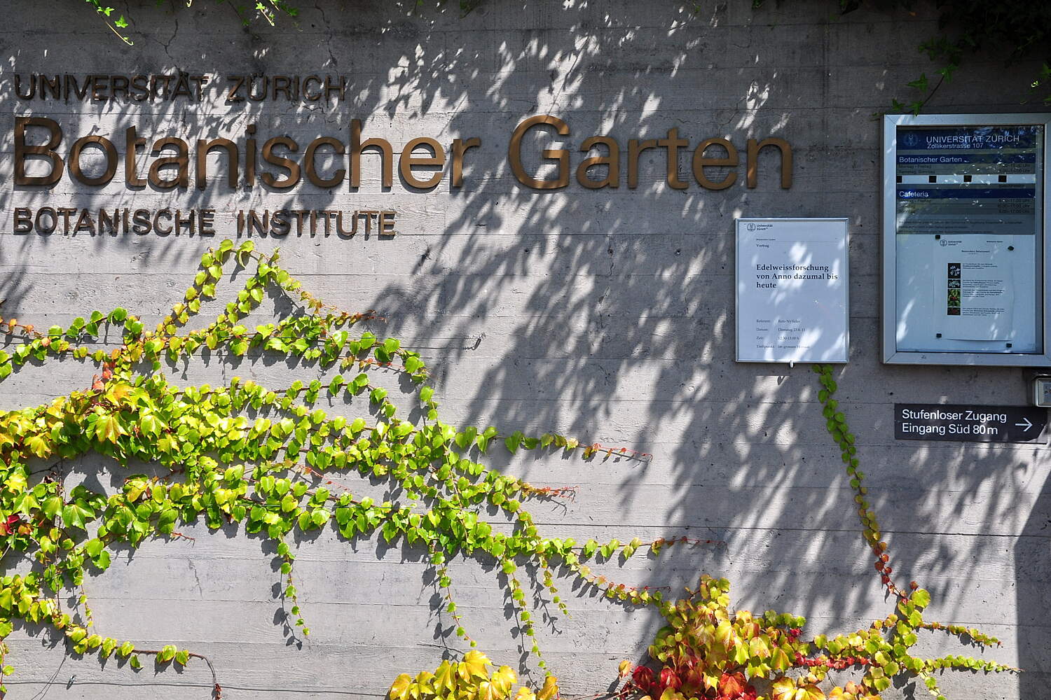 Botanical Garden Of The University Of Zurich Zurich Tourist Attractions Tropter Com