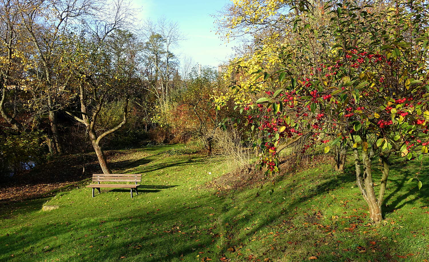 Braunschweig Botanischer Garten Lieblingsplatz