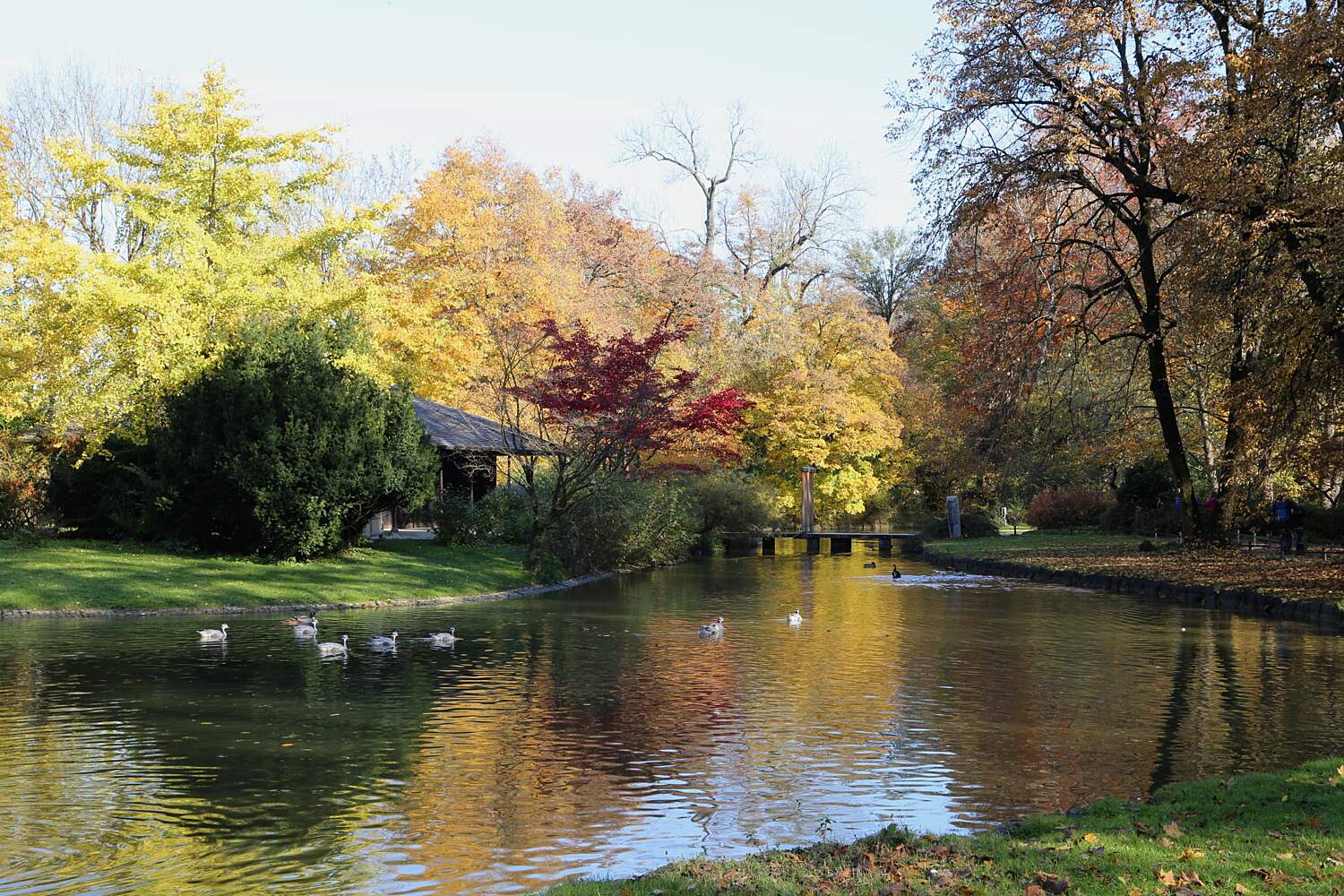 Japanese Tea House Kanshoan Munich Tourist Attractions Tropter Com