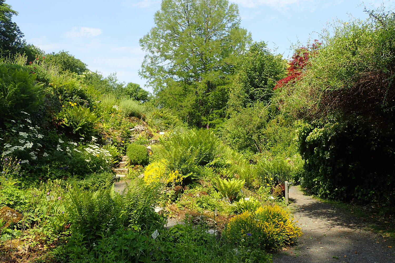 Alter Botanischer Garten Göttingen