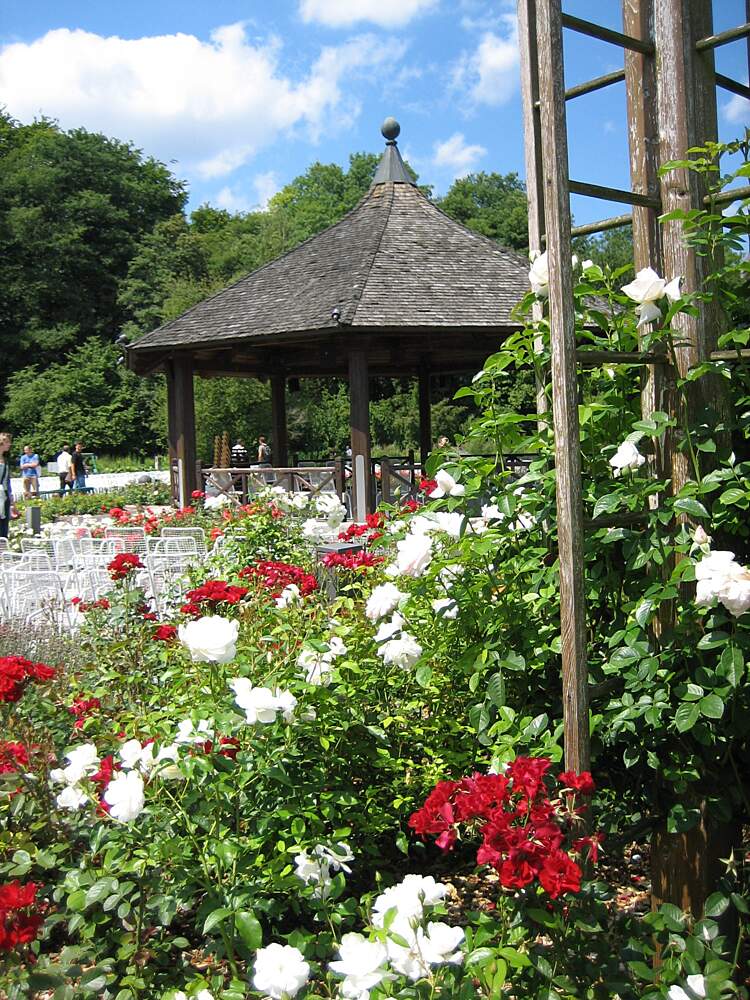 Augsburg Botanischer Garten Botanical Garden Augsburg In