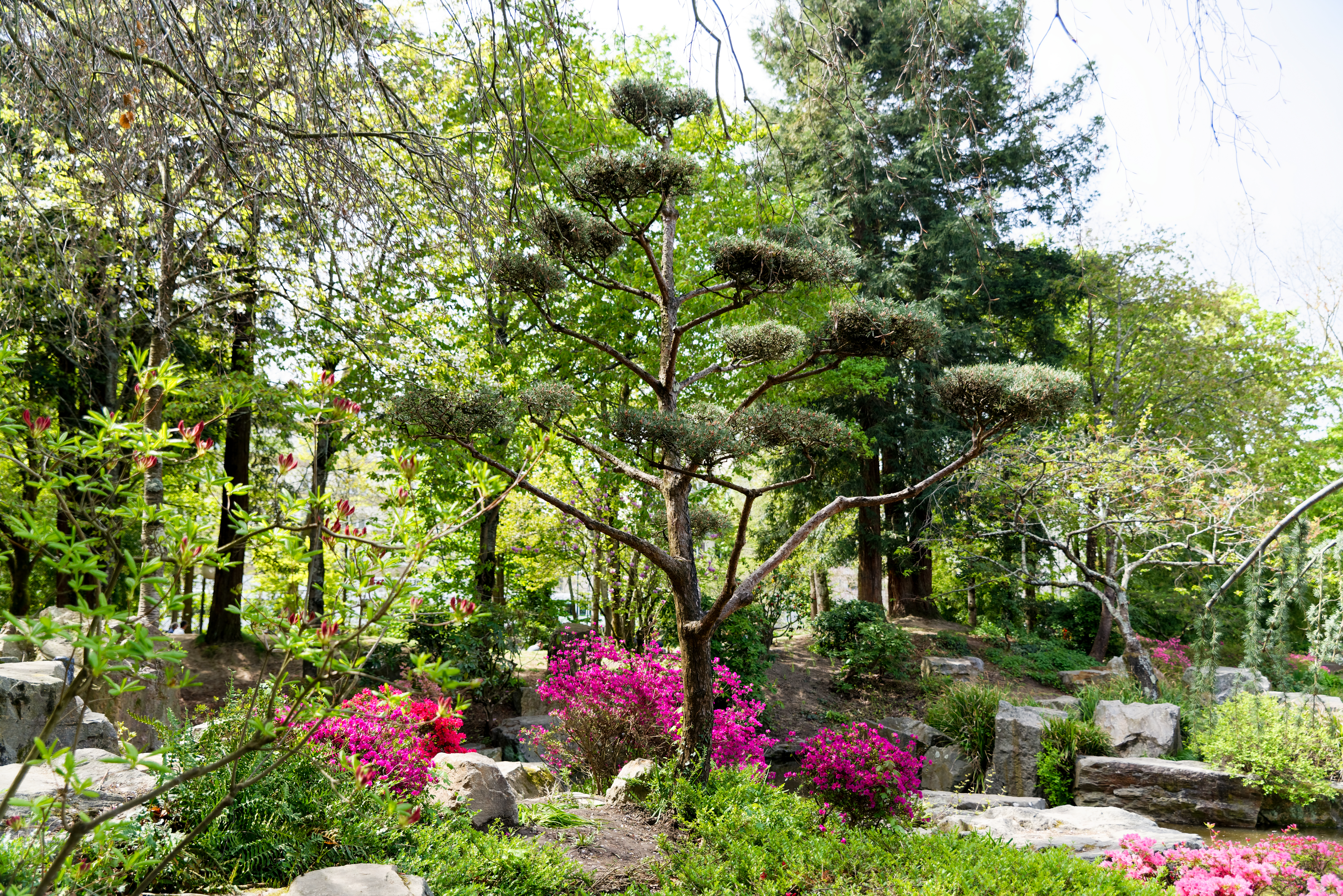 Japanese Garden On The Island Of Versailles Nantes Tourist