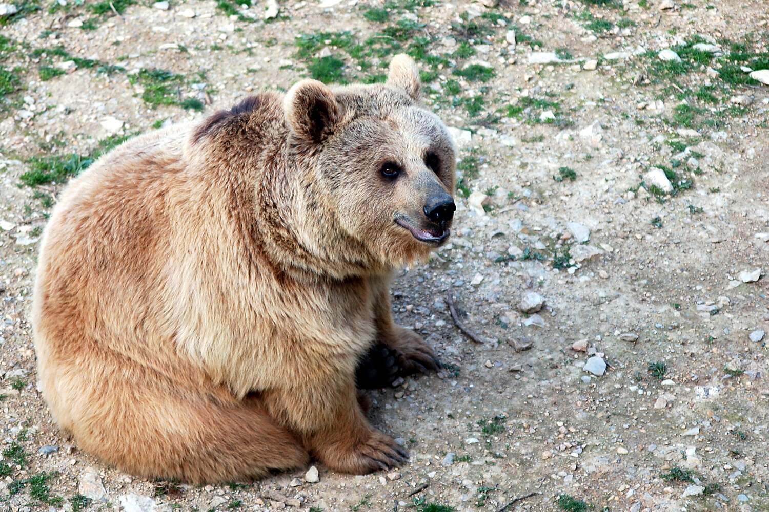 Montpellier Zoo Montpellier Tourist Attractions Tropter Com