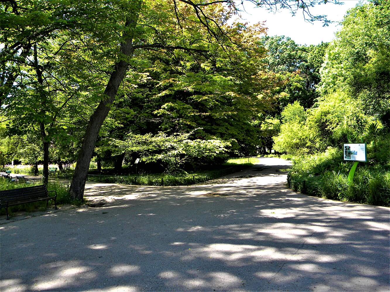 Dimitrie Branza Botanical Garden Bucharest Tourist Attractions