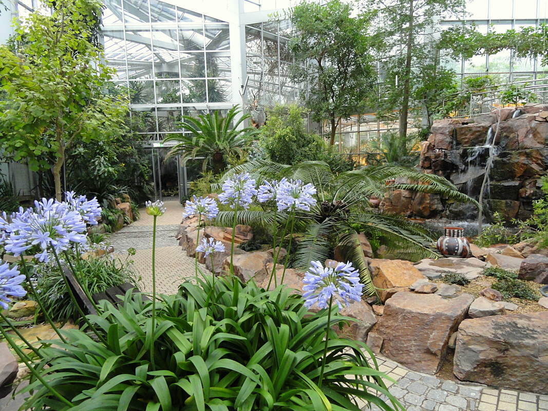 Palmengarten Ботанический сад «Пальменгартен»