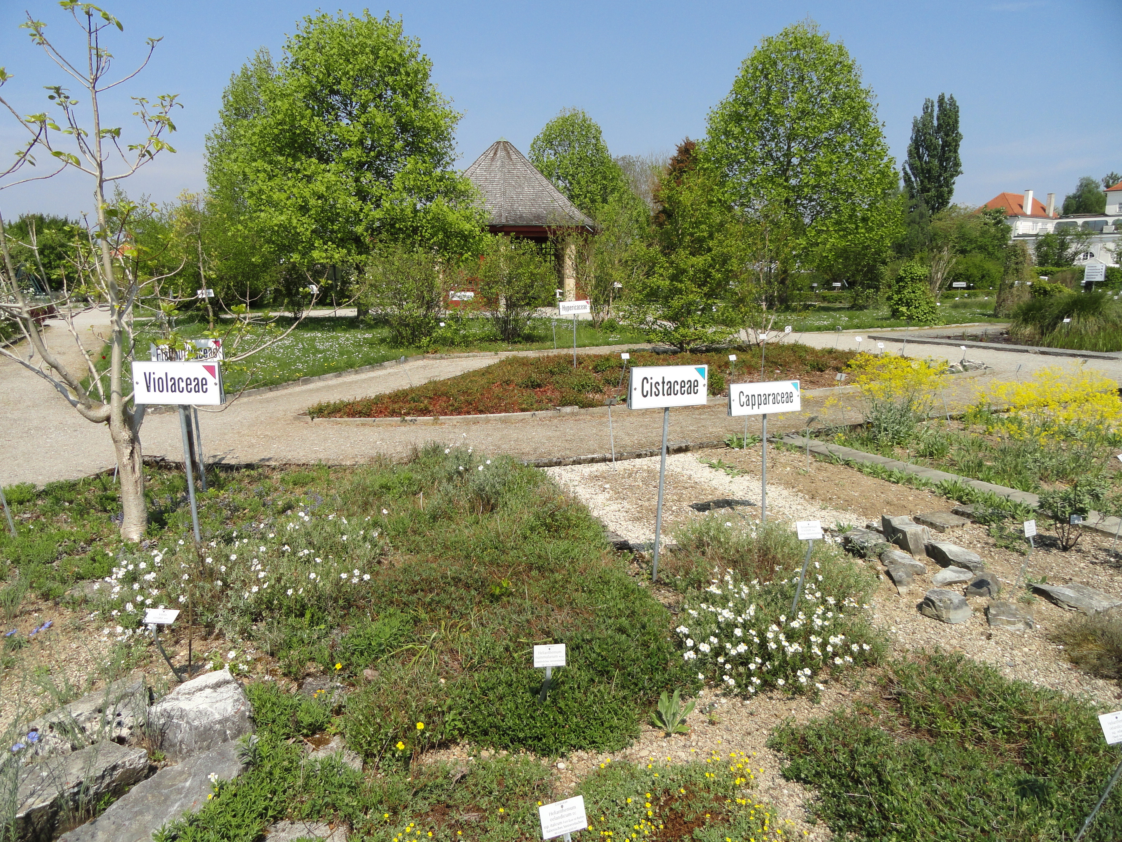 Botanical Garden Munich Nymphenburg Munich Tourist Attractions