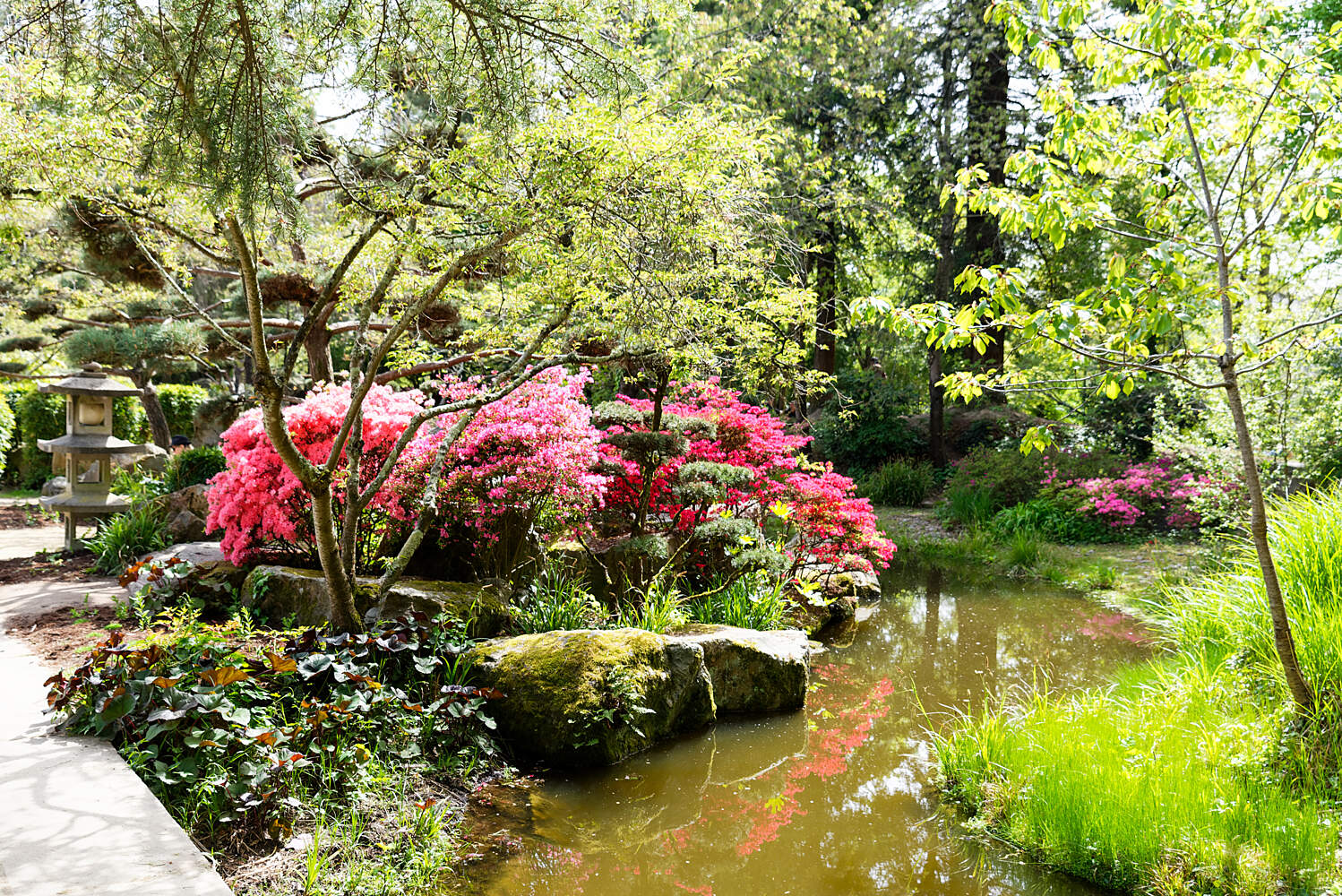 Japanese Garden On The Island Of Versailles Nantes Tourist