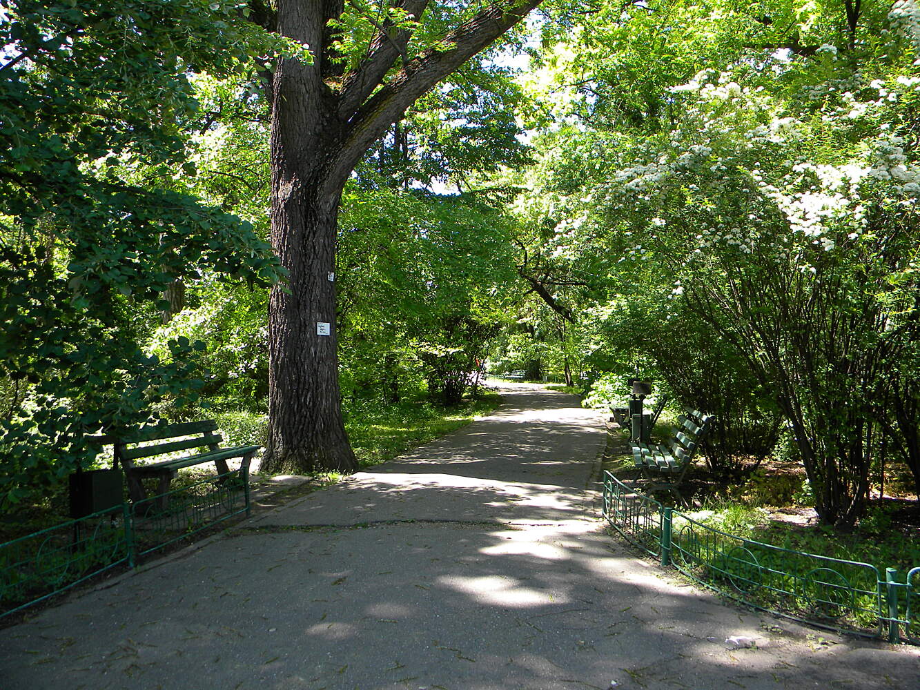 Dimitrie Branza Botanical Garden Bucharest Tourist Attractions
