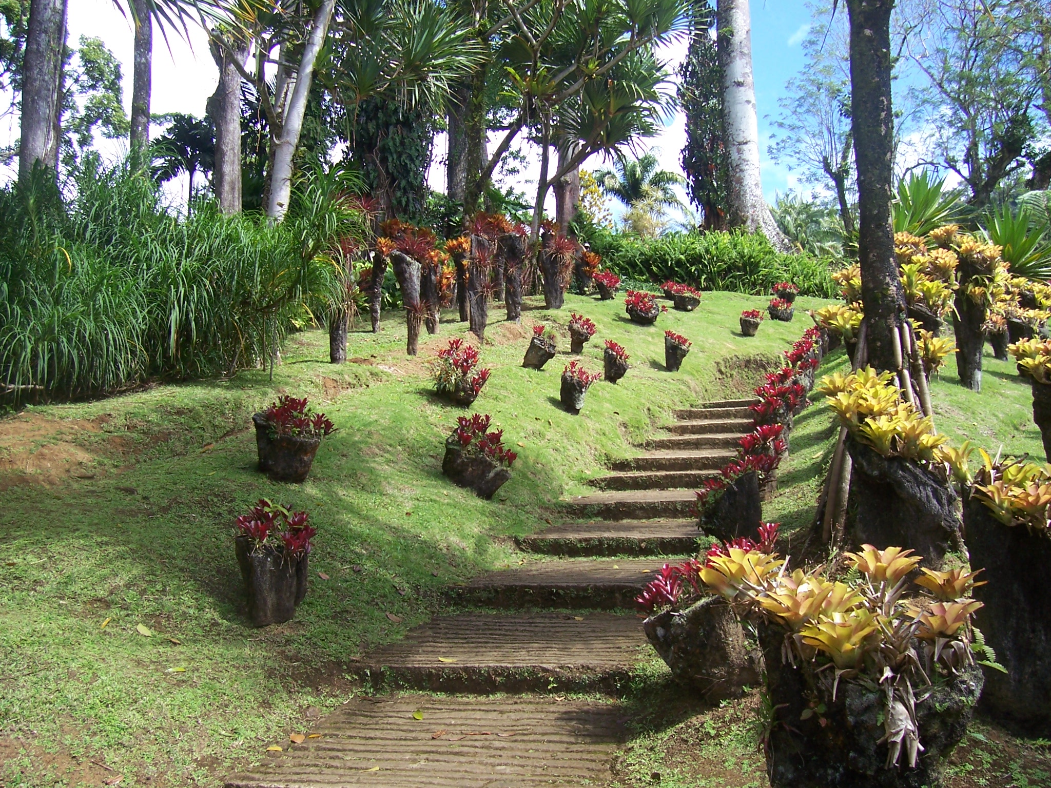 Balata Garden Fort De France Tourist Attractions Tropter Com
