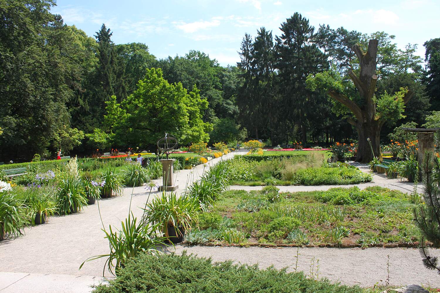 Jardín botánico Bamberg atracciones turísticas