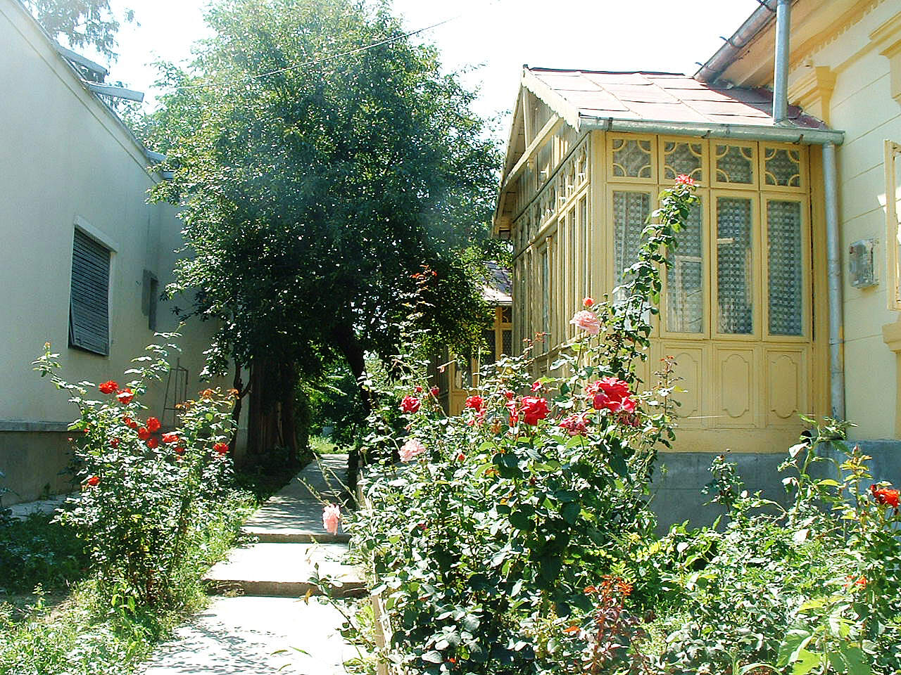 George Bacovia Memorial House Bacău Tourist Attractions Tropter Com