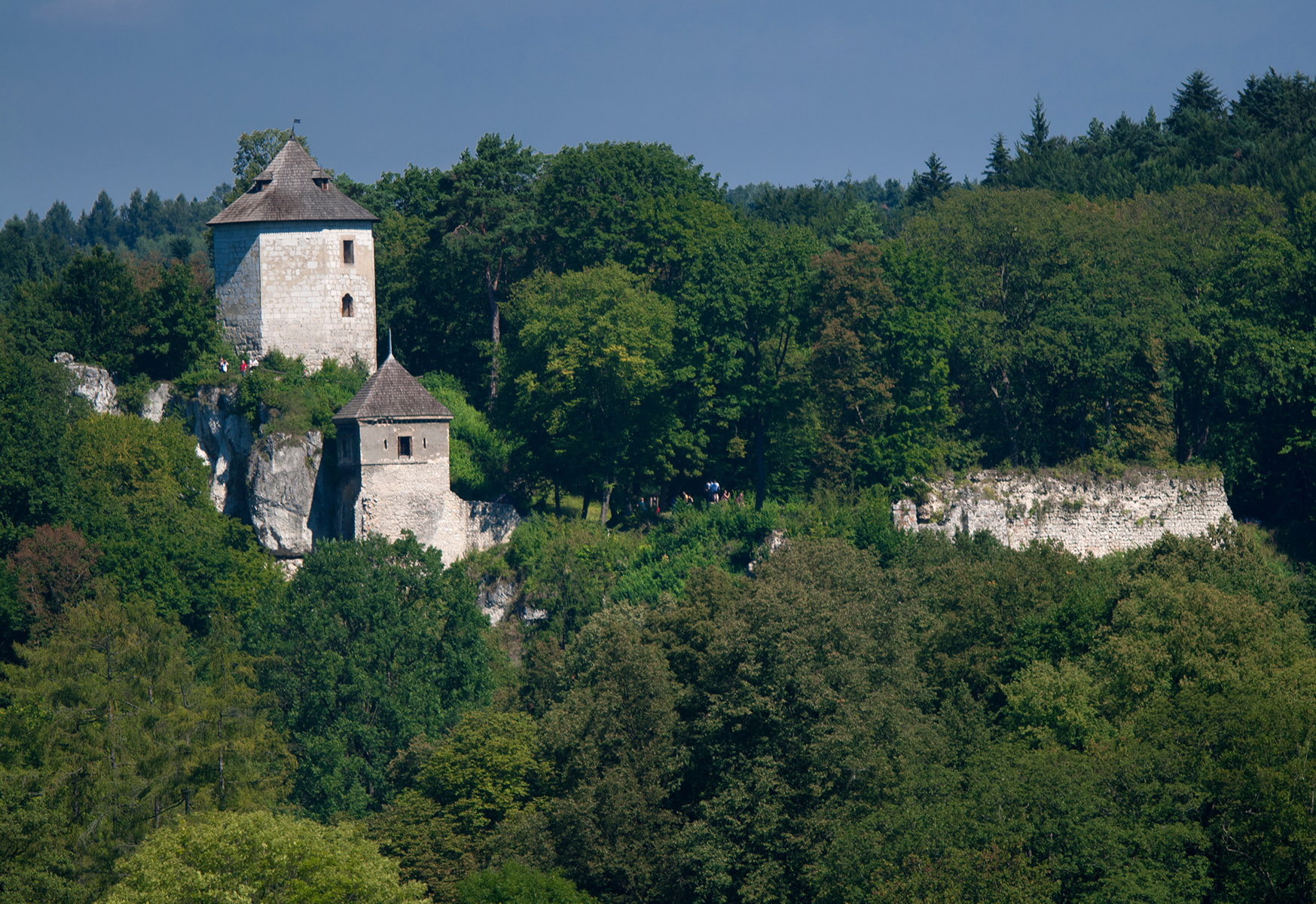 Zamek w Ojcowie